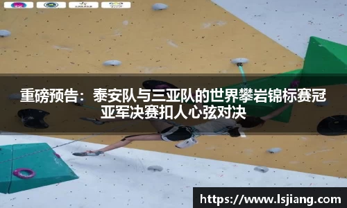 小鸟综合体育官方网站